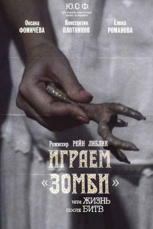 We Play 'Zombi' or Life After Fights Poster