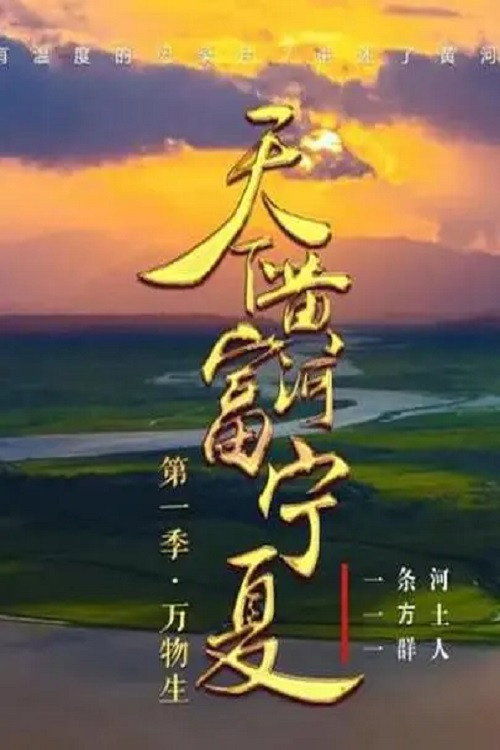 天下黄河富宁夏电影海报