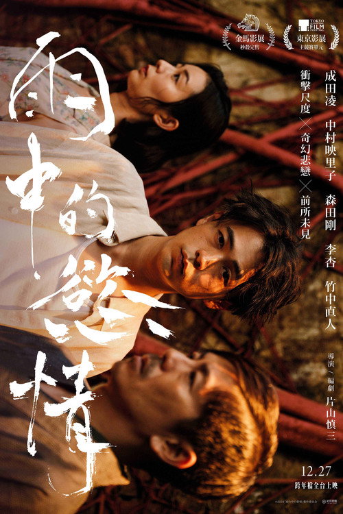 雨中的情欲电影海报