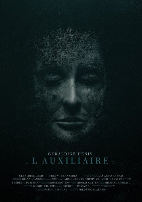 L'auxiliaire