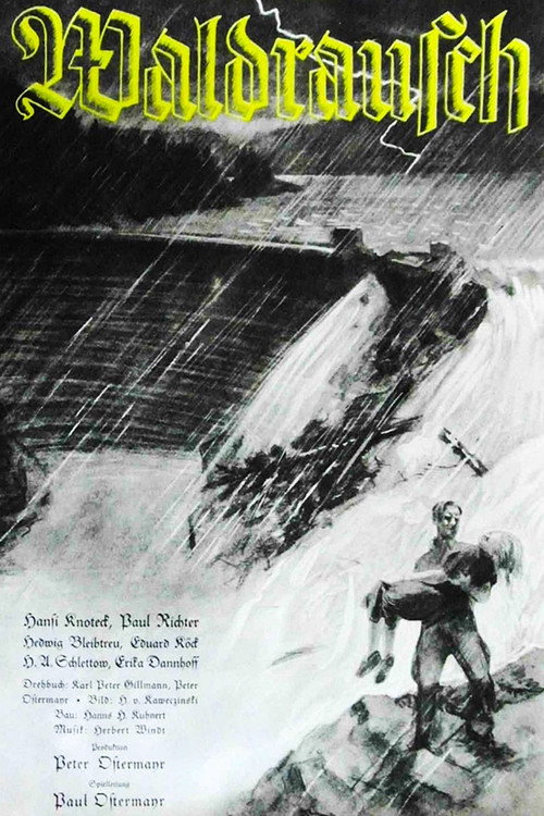 Waldrausch poster 2