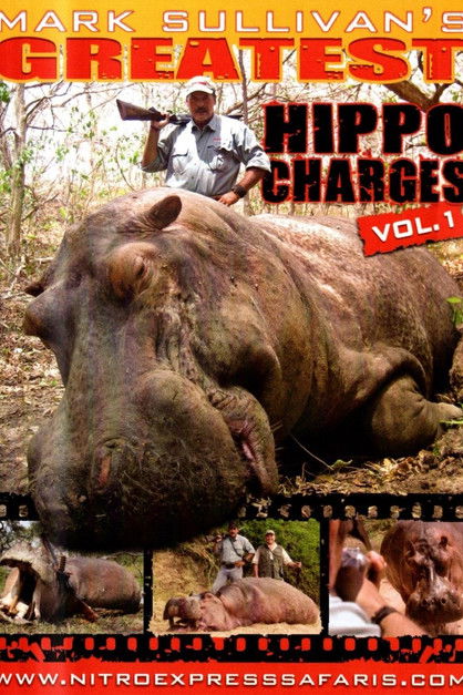 Mark Sullivan’s Greatest Hippo Charges