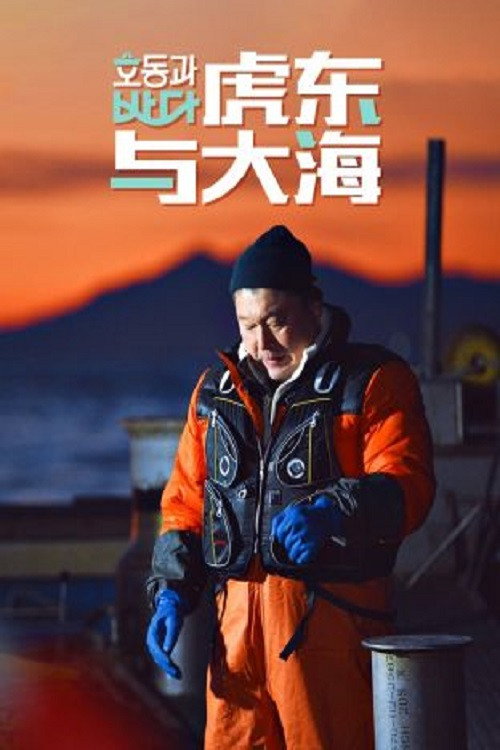 虎东与大海电影海报