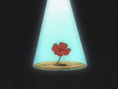 Find the Crimson Four-Leaf Clover!