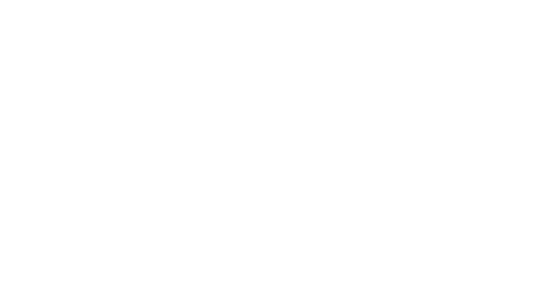 LEO Logo