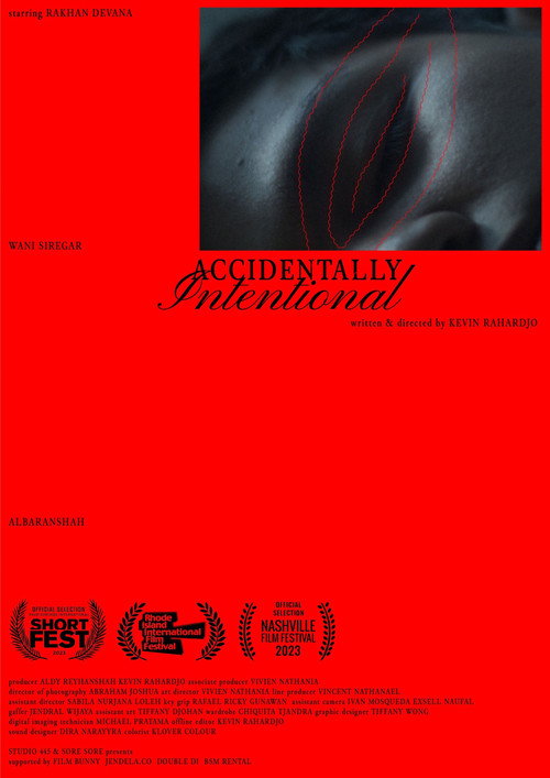 Accidentally Intentional poster 3