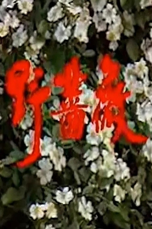 野蔷薇电影海报