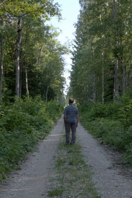 The Weight of All the Beauty