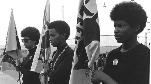 The Black Panthers: Vanguard of the Revolution