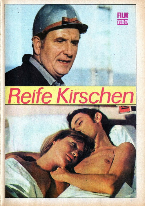 Ripe Cherries poster 2