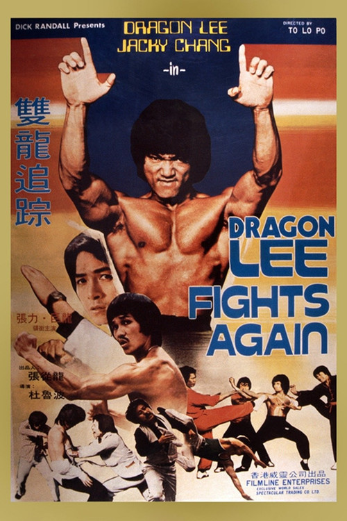 Dragon Lee Fights Again poster 6