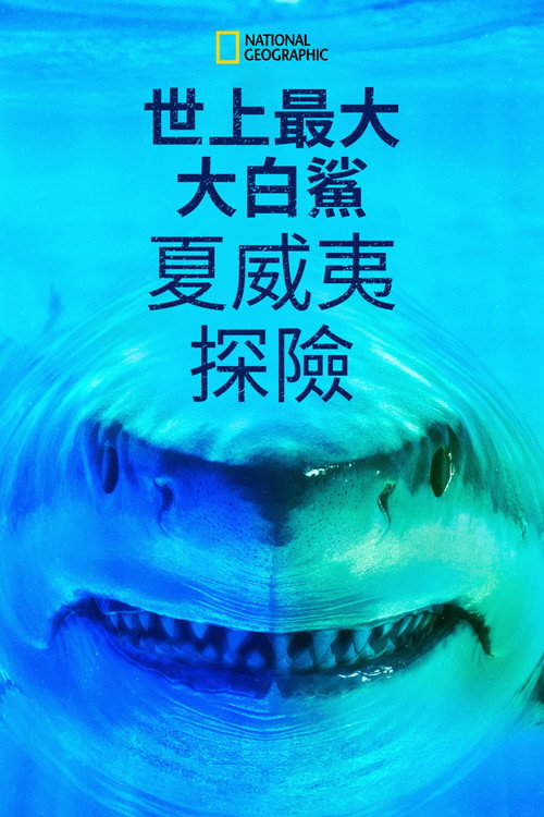 世上最大大白鲨：夏威夷探险电影海报