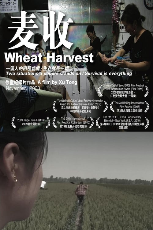 Wheat+Harvest