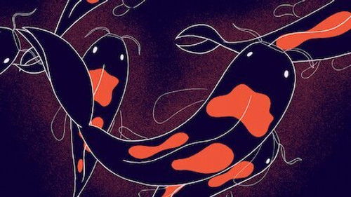 Headspace: Uyku Rehberi - 3. Bölüm