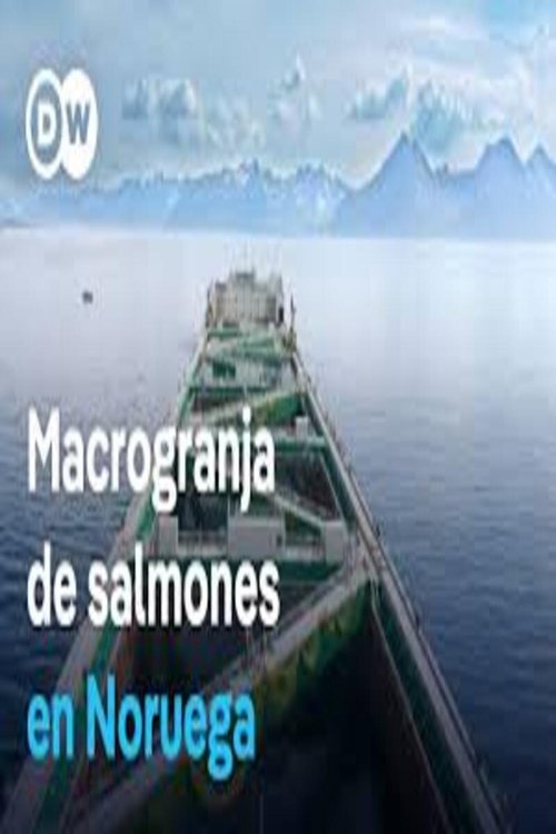 La mayor granja de salmones del mundo