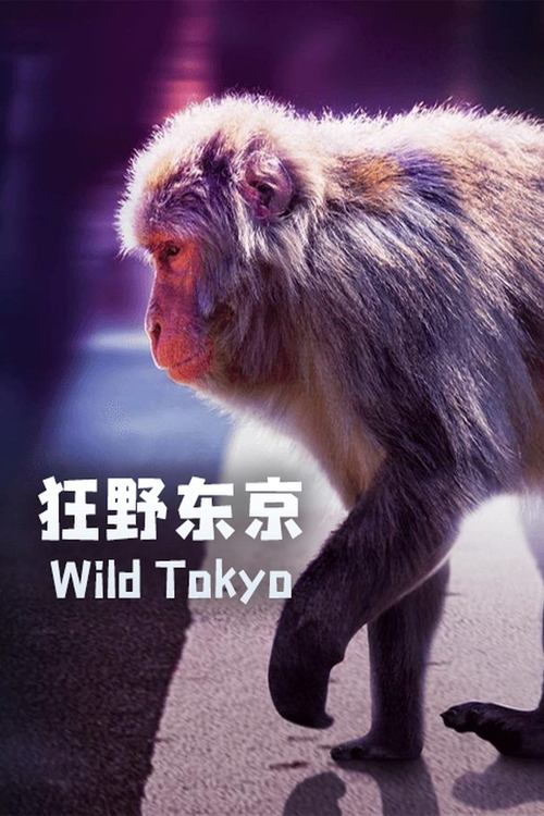 Wild+Tokyo