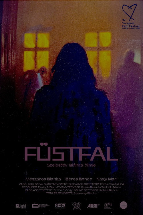 Water Walls poster 2