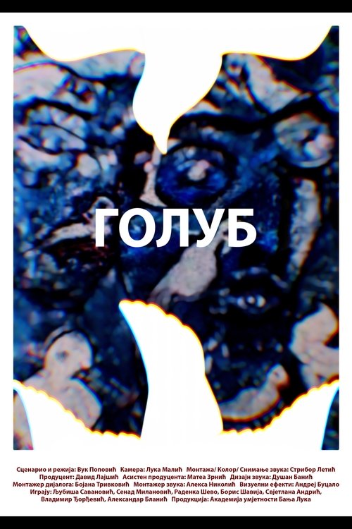 A pigeon Poster