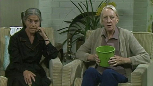 The Neighbours