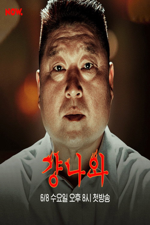 걍나와电影海报