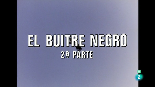 The Black Vulture II