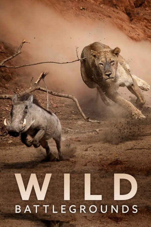 Wild Battleground电影海报