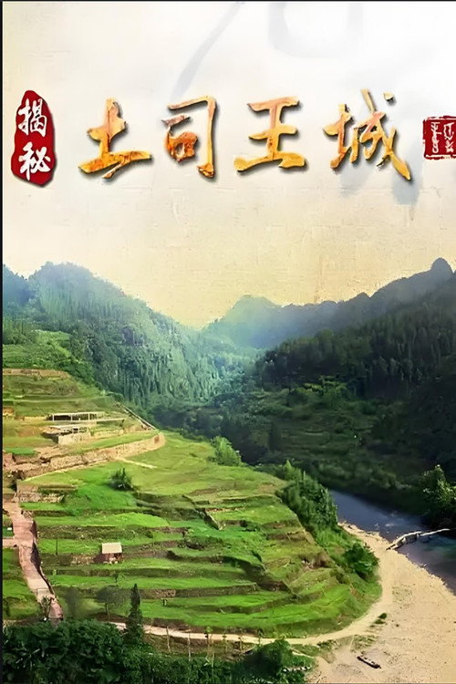 揭秘土司王城电影海报