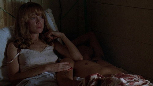 Backdrop