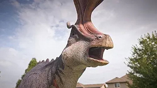 Dino Dress Up