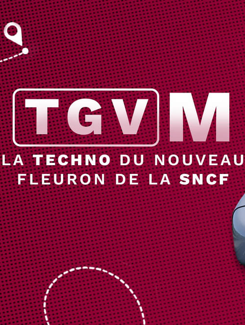 TGV+M%3A+La+techno+du+nouveau+fleuron+de+la+SNCF