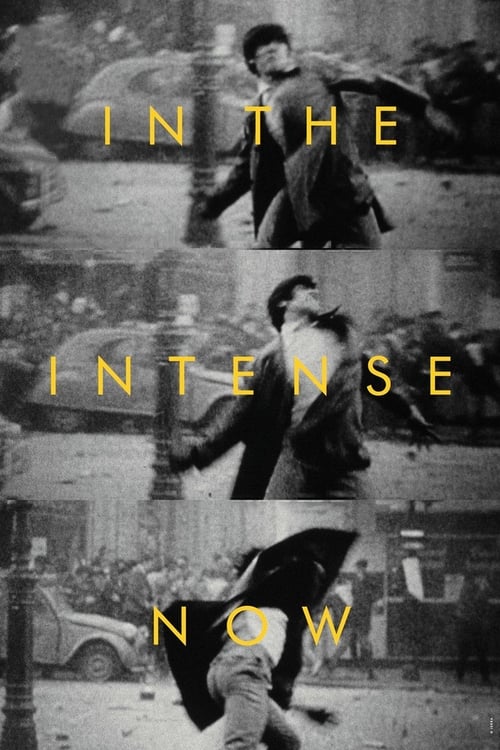 In+the+Intense+Now