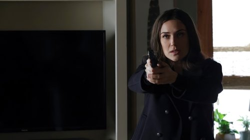 The Blacklist - 14. Bölüm