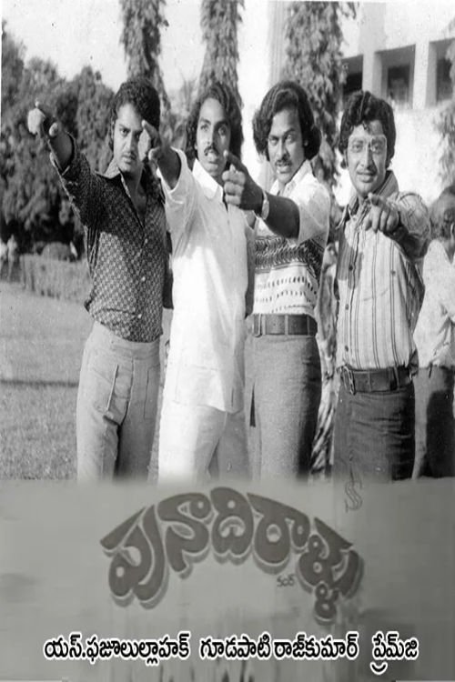 Punadhirallu