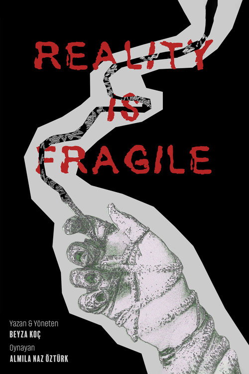 Poster for Reality Is Fragile