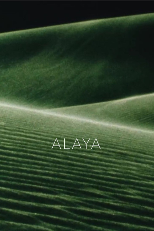 Alaya's poster