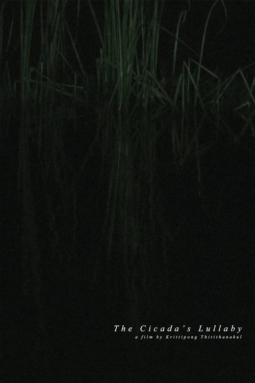 The Cicada's Lullaby Poster