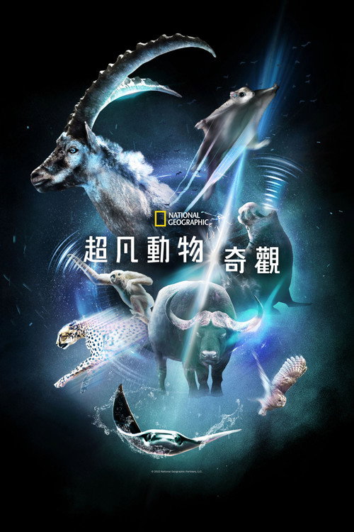 超凡动物奇观电影海报
