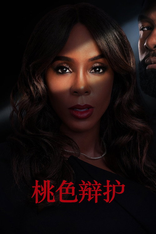 桃色辩护电影海报