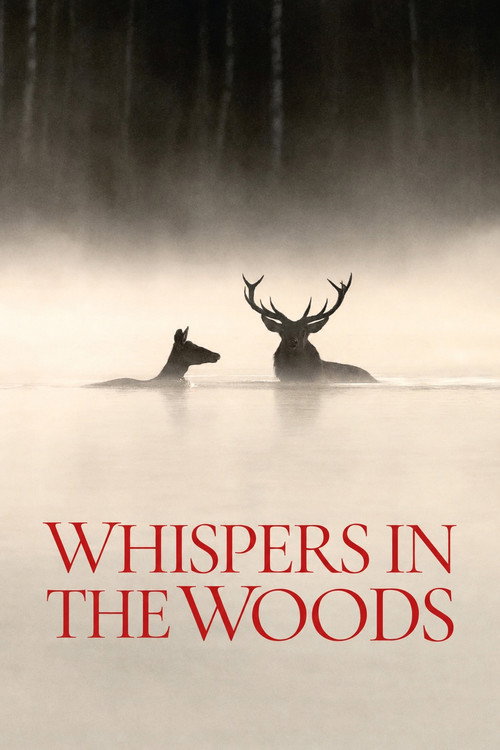 Whispers in the Woods