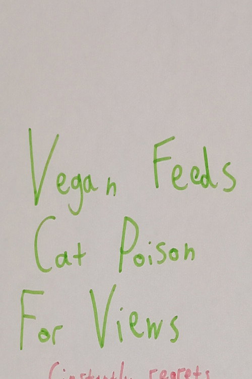 Vegan Feeds Cat Poison For Views poster 2