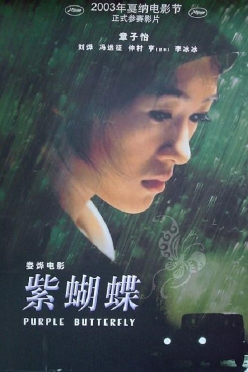 紫蝴蝶