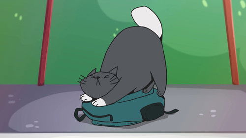 GENT'S COLORFUL DAYS - Episode 2 - Gent & Bicycle backdrop