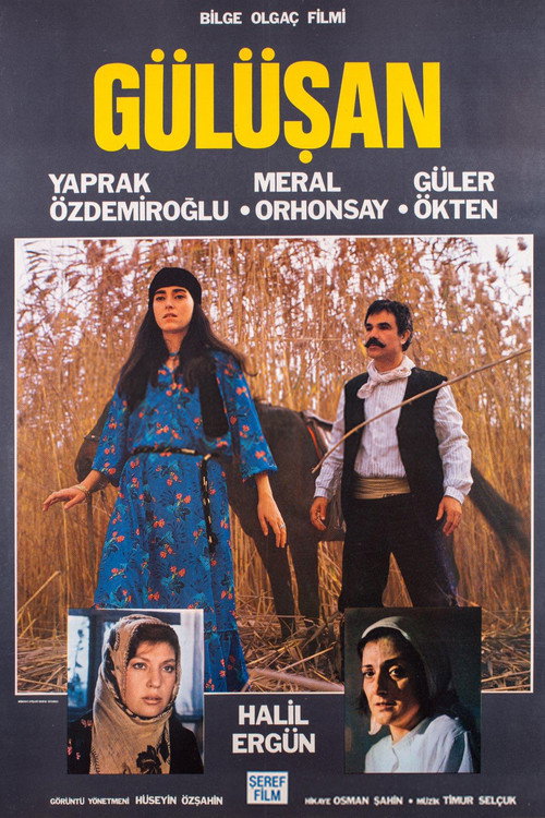Gülüşan poster 2