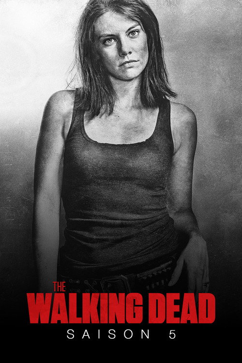 Saison 5