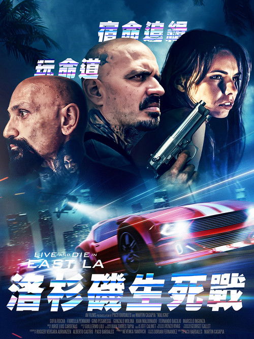 洛杉矶生死战电影海报