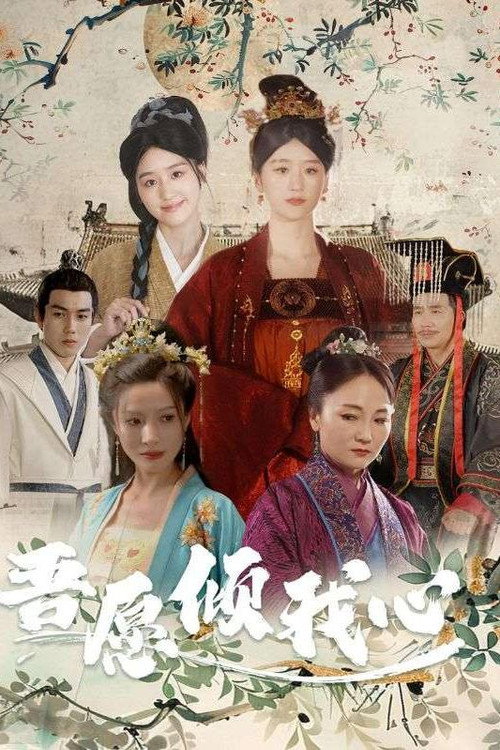 吾愿倾我心电影海报