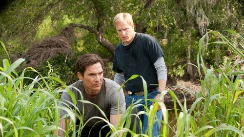 True Detective - Her Yaşamın Gizli Kaderi