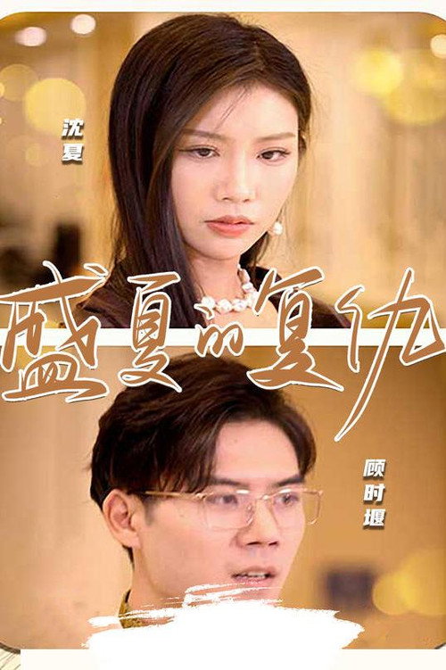 盛夏的复仇电影海报