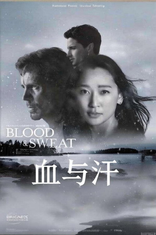 血与汗电影海报