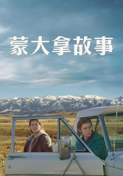 蒙大拿故事电影海报